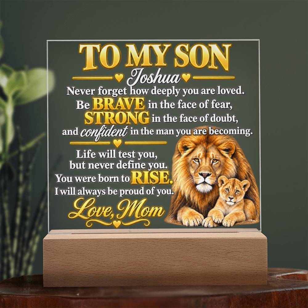 To My Son - Never Forget How Deeply You Are Loved | Lion & Cub Plaque From Mom
