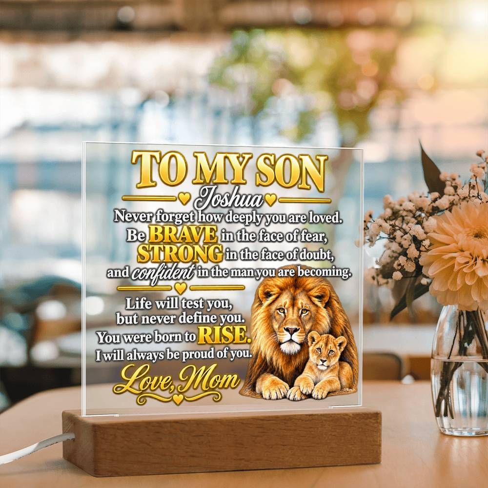 To My Son - Never Forget How Deeply You Are Loved | Lion & Cub Plaque From Mom