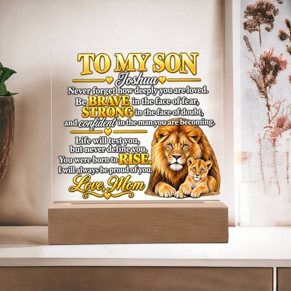 To My Son - Never Forget How Deeply You Are Loved | Lion & Cub Plaque From Mom