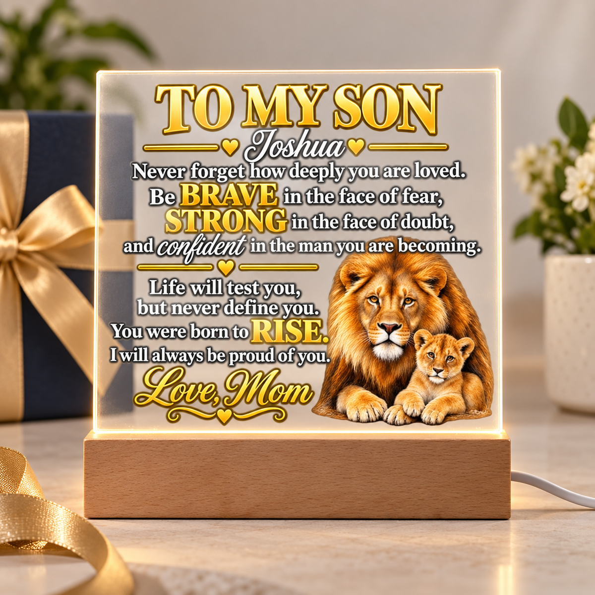 To My Son - Never Forget How Deeply You Are Loved | Lion & Cub Plaque From Mom