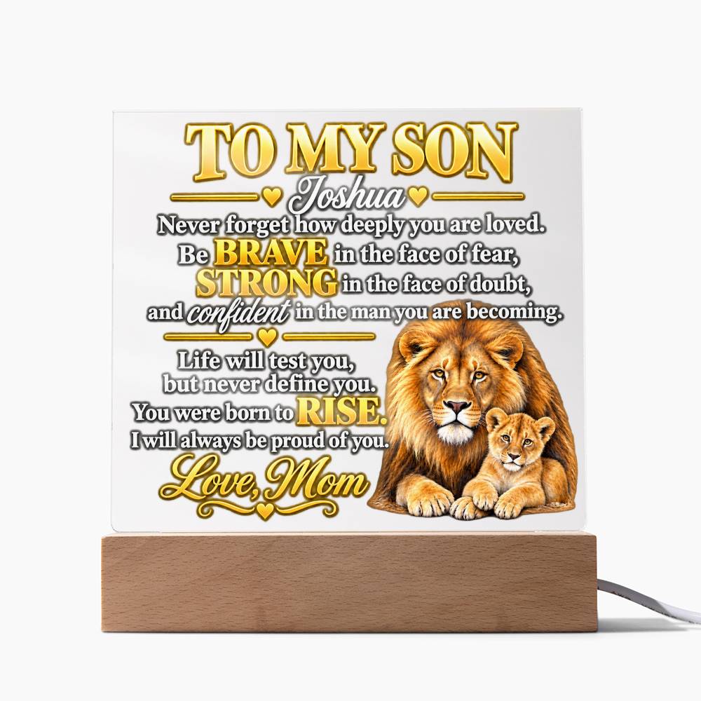 To My Son - Never Forget How Deeply You Are Loved | Lion & Cub Plaque From Mom