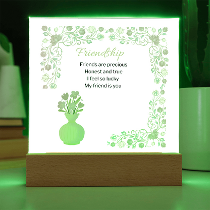 Friendship acrylic Plaque-Gift For Friend