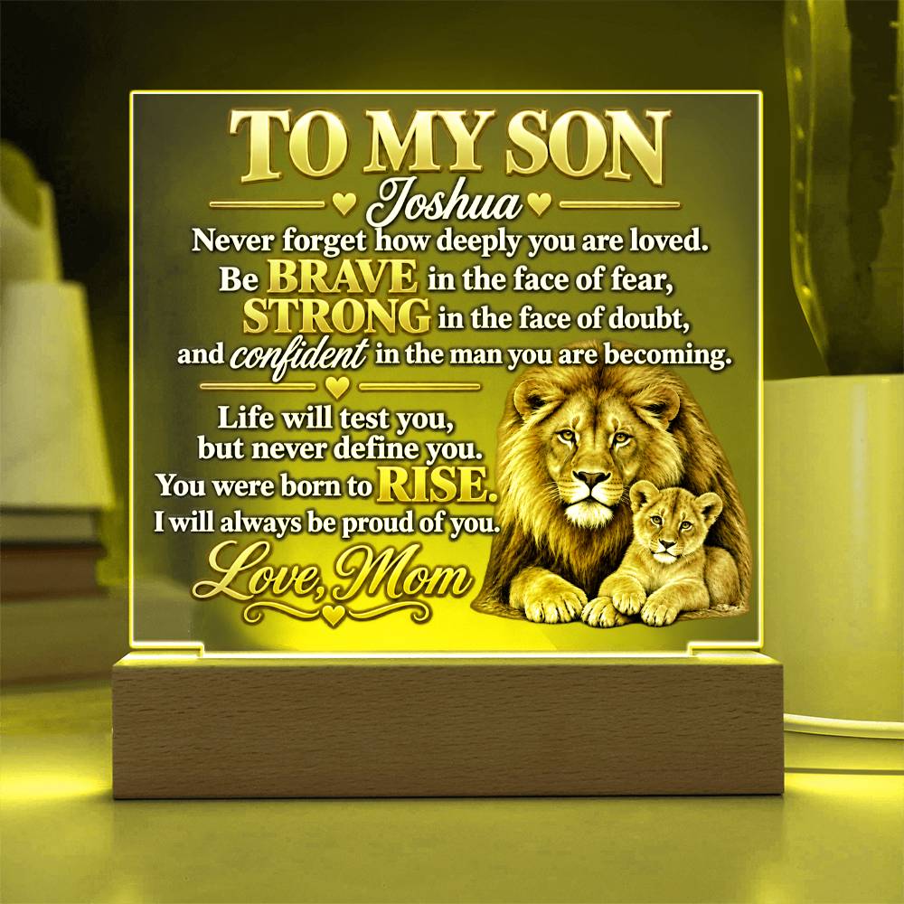 To My Son - Never Forget How Deeply You Are Loved | Lion & Cub Plaque From Mom