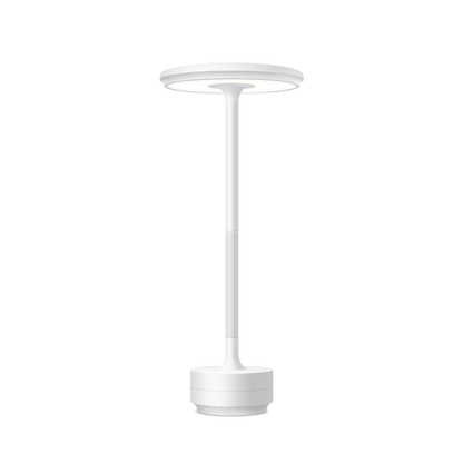 Glow-Up Desk Light