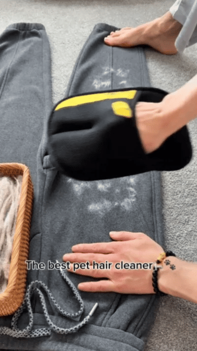 Magic Pet Fur Mitt