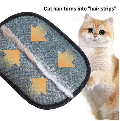 Magic Pet Fur Mitt